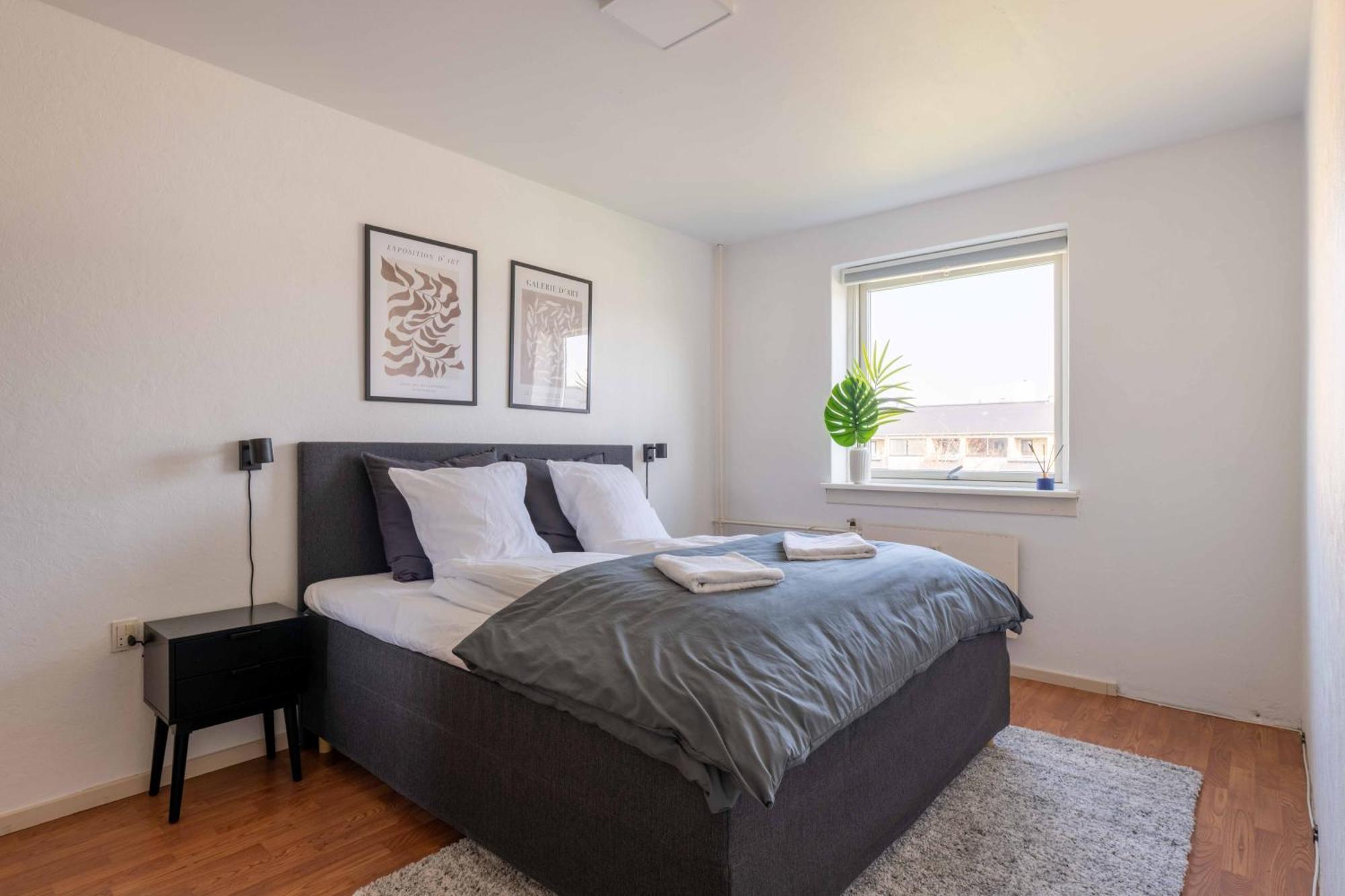Cozy Near Metro